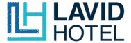 logo lavid color 2